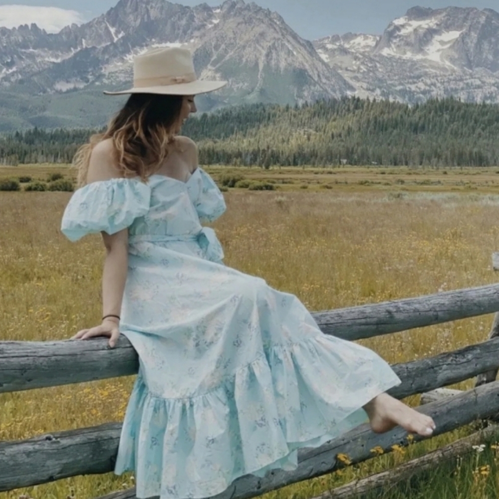 Love Shack Fancy For Target Estelle Dress NWT